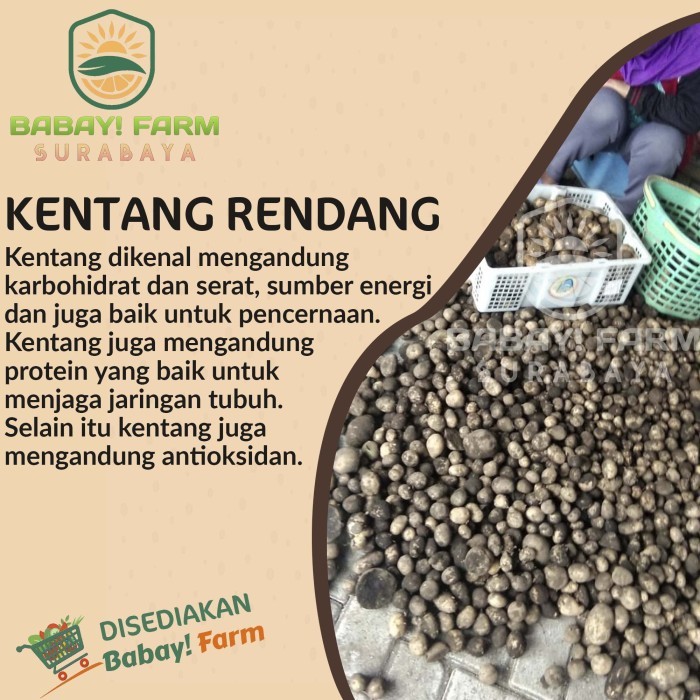 

Kentang Rendang Kecil / Baby Potato