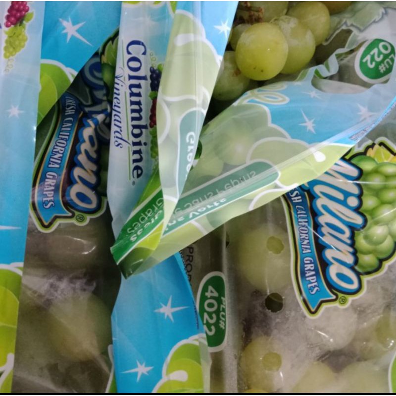 buah anggur hijau non biji segar