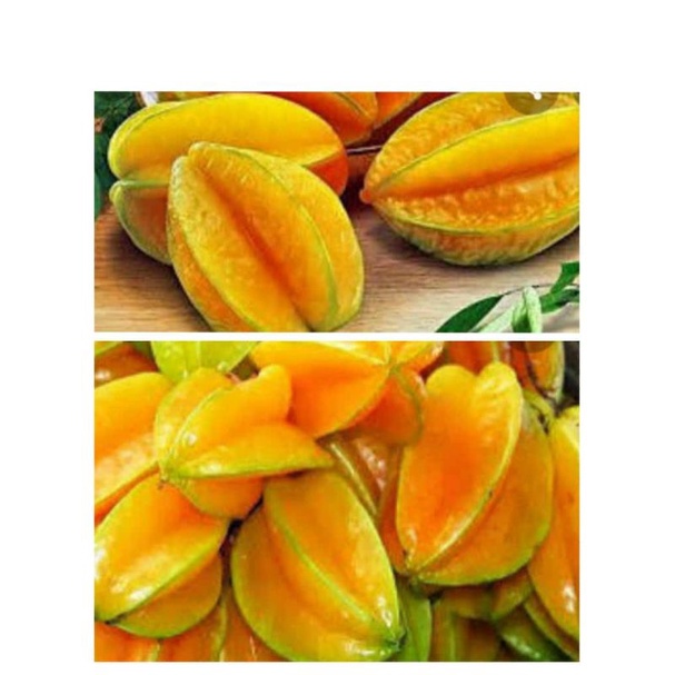 

blimbing madu