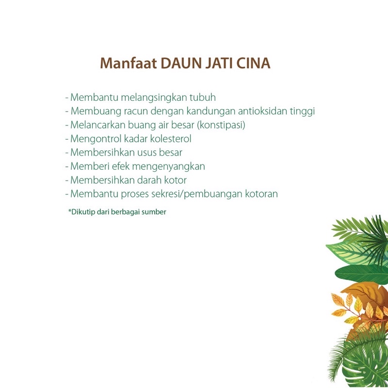 Herbal Pelangsing Alami Ampuh  Kapsul Daun Jati Cina / Senna Detox  (Isi 100pcs)