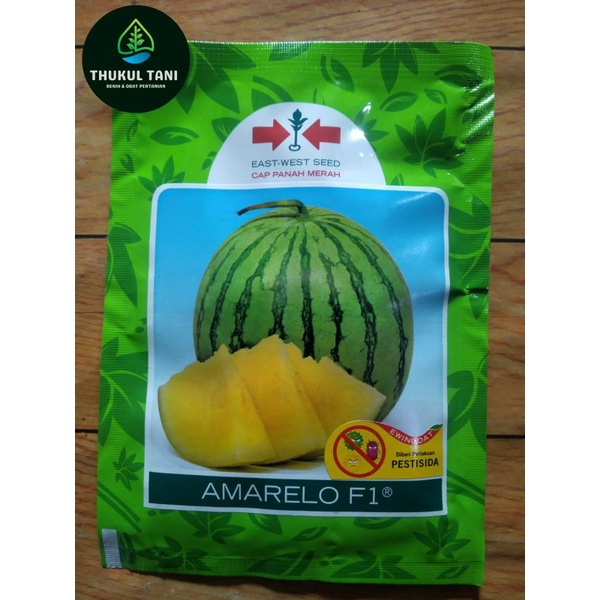 BENIH SEMANGKA KUNING AMARELO F1 360 BUTIR