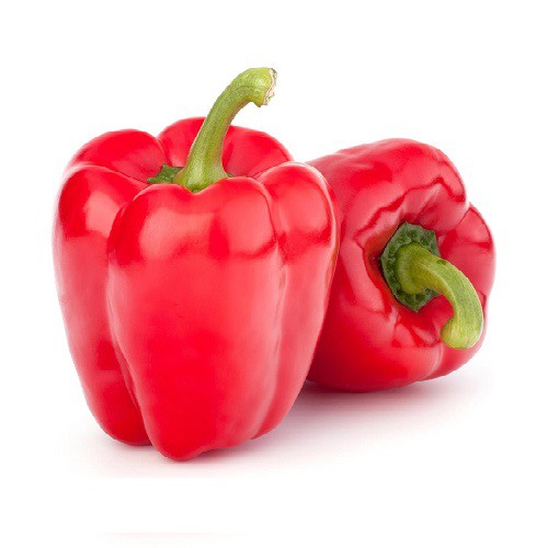 PAKET HEMAT - Benih Paprika F1 Hibrida 4 Variant Warna Bell Pepper Seeds - Total 40 Biji