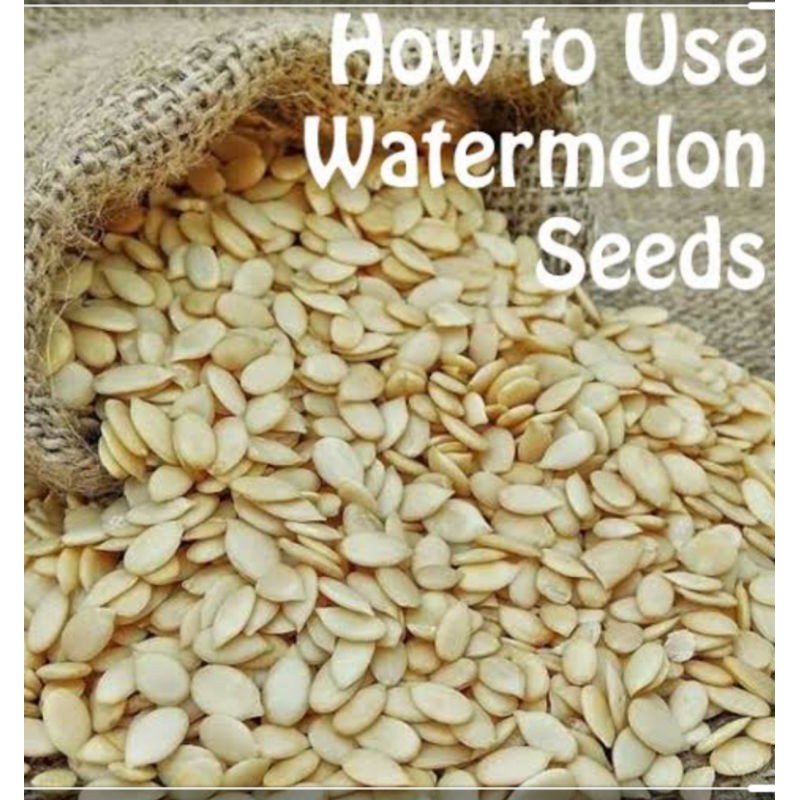 

melon seed biji melon eguzi