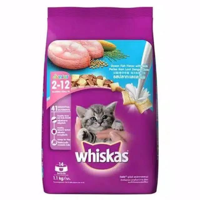 Makanan Kucing Kitten Whiskas Junior Dry Food 1 1kg Shopee Indonesia