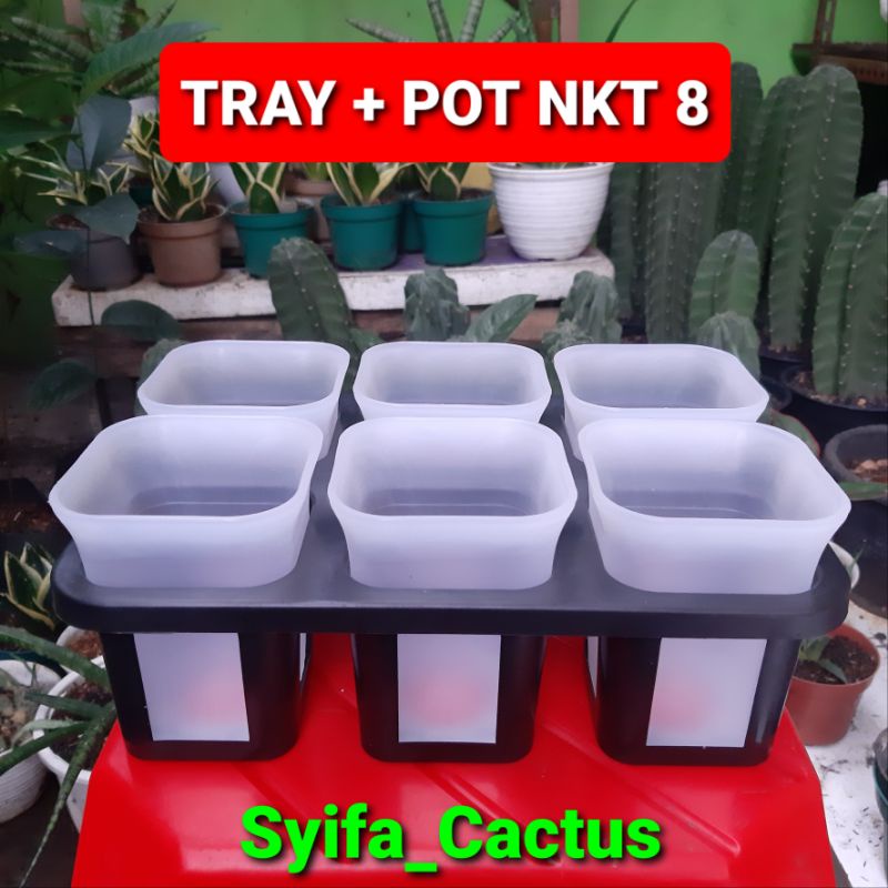 Jual Set Tray Pot Kotak Nkt Juoss Cm Tray Pot Cm Shopee