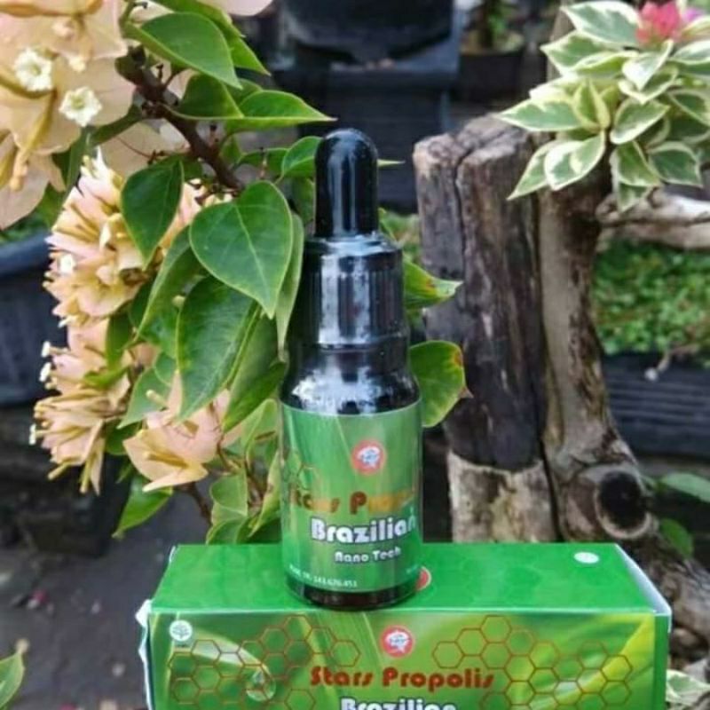 STARS PROPOLIS BRAZILIAN 1BOTOL STARS PROPOLIS BRAZILIAN NANO TECH BPOM HALAL