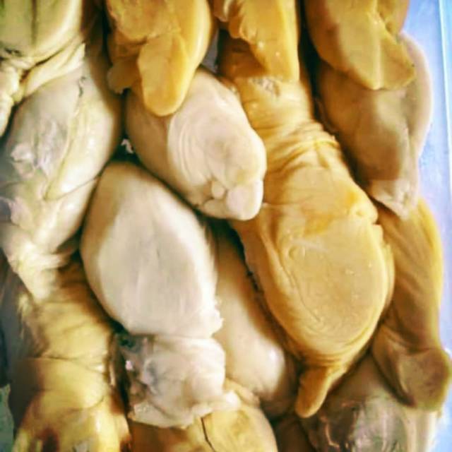 

Durian medan