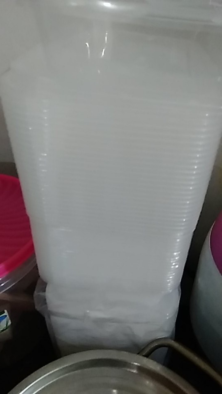 Thinwall 500ml/thinwall Persegi/kotak Makan Plastik/food Container