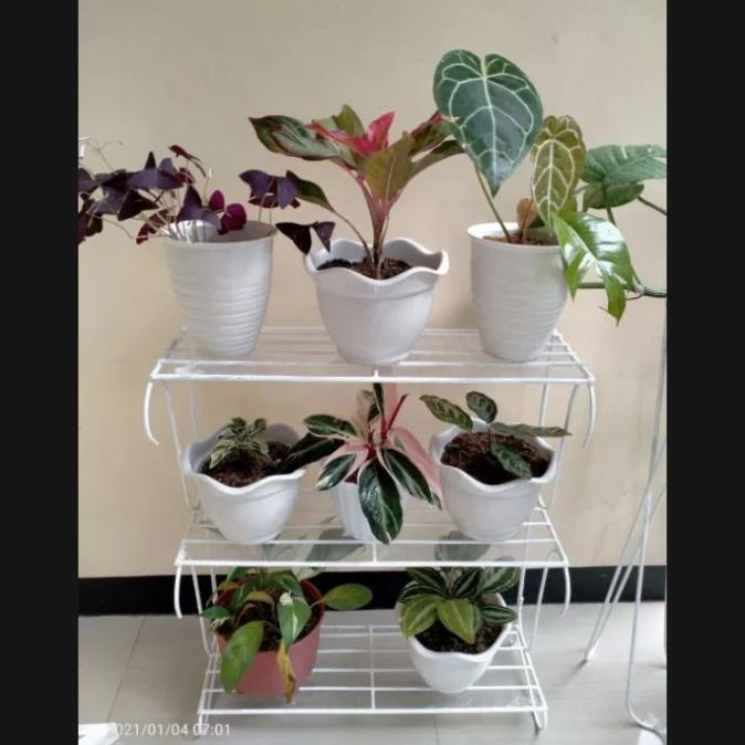 Rak Bunga Besi Susun Rak Pot Bunga 3 Susun Marketranti