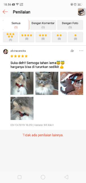 KALUNG KUCING CUSTOM NAMA DAN NO HP LONCENG LUCU BAHAN KULIT MODEL CETEKAN - LIONTIN KEPALA KUCING AKRILIK