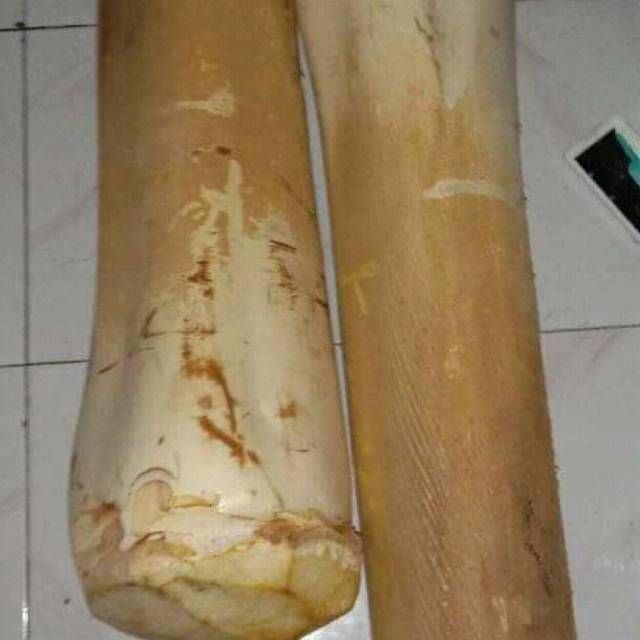 

Umbut kelapa satu bonjor/kurleb 5 kilo