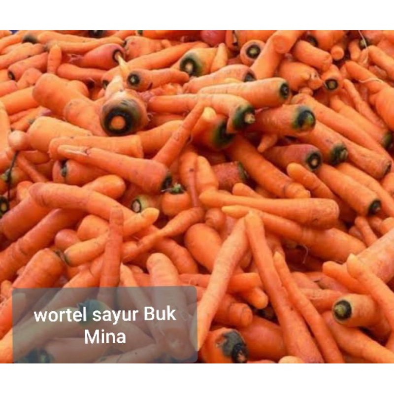 

Wortel Sayur Buk Mina Segar