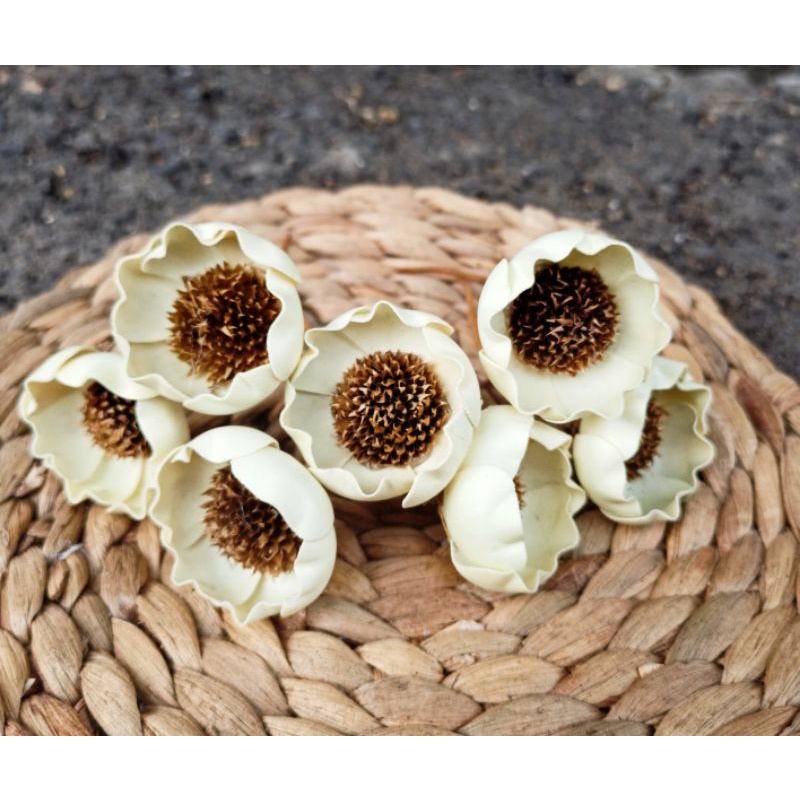 3 pcs Bunga Lontar Mini Bahan Hiasan Rustic Mahar Seserahan