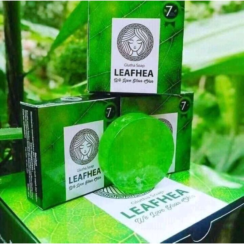 Leafhea gluta soap