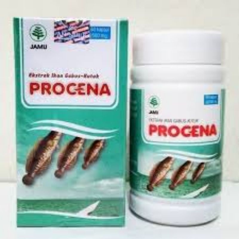 Pil / Kapsul Kutuk / Ekstrak Ikan Gabus Procena 60 kapsul