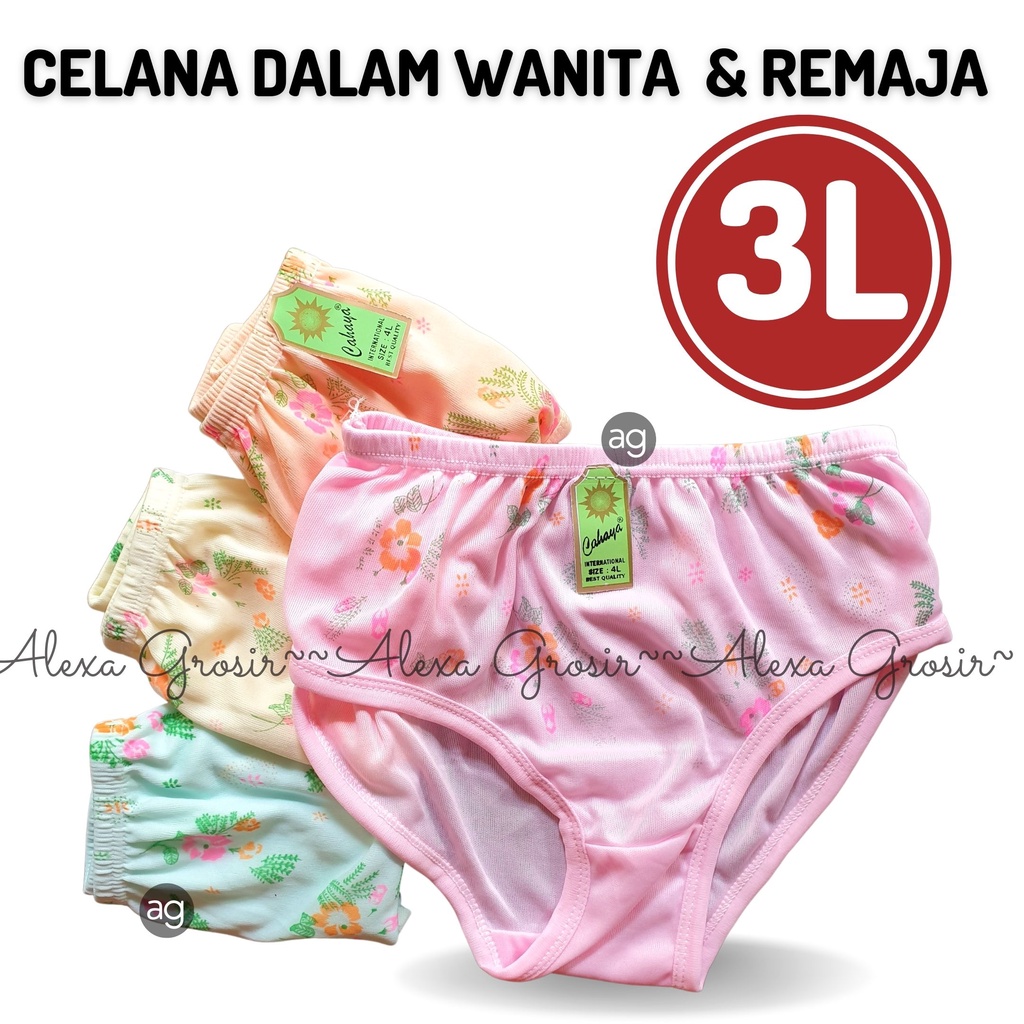 Undies Celana Dalam Wanita Murah Ukuran 3L Hyget