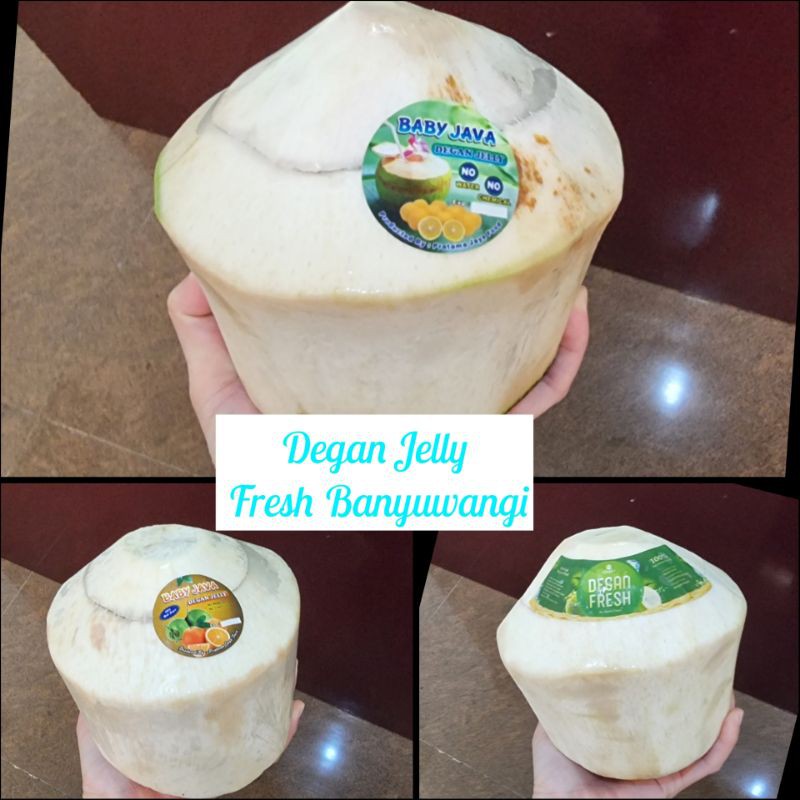 

degan jelly Banyuwangi