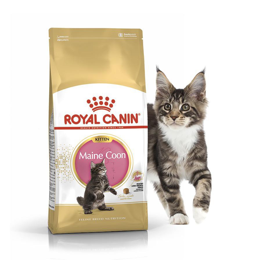 ROYAL CANIN MAINE COON 2KG kitten adult-makanan kering kucing maine coon