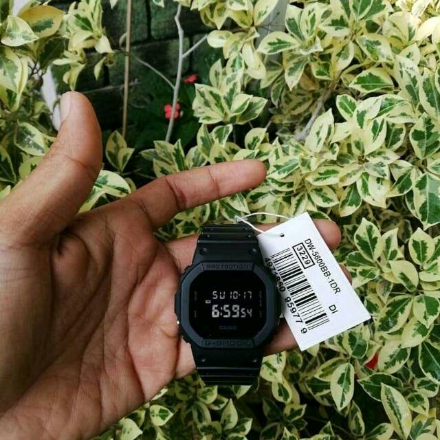casio Gshock dw5600bb
