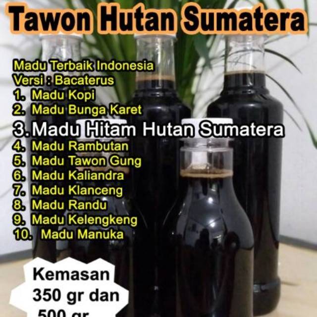 

MADU HITAM DAN MADU RANDU MURNI HUTAN SUMATRA