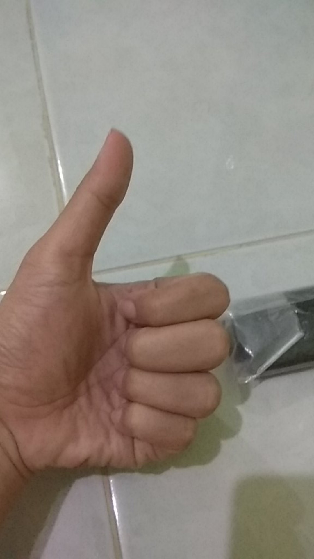 Kotak Perkakas / Tool Box Classy 17 Maspion Bm T163