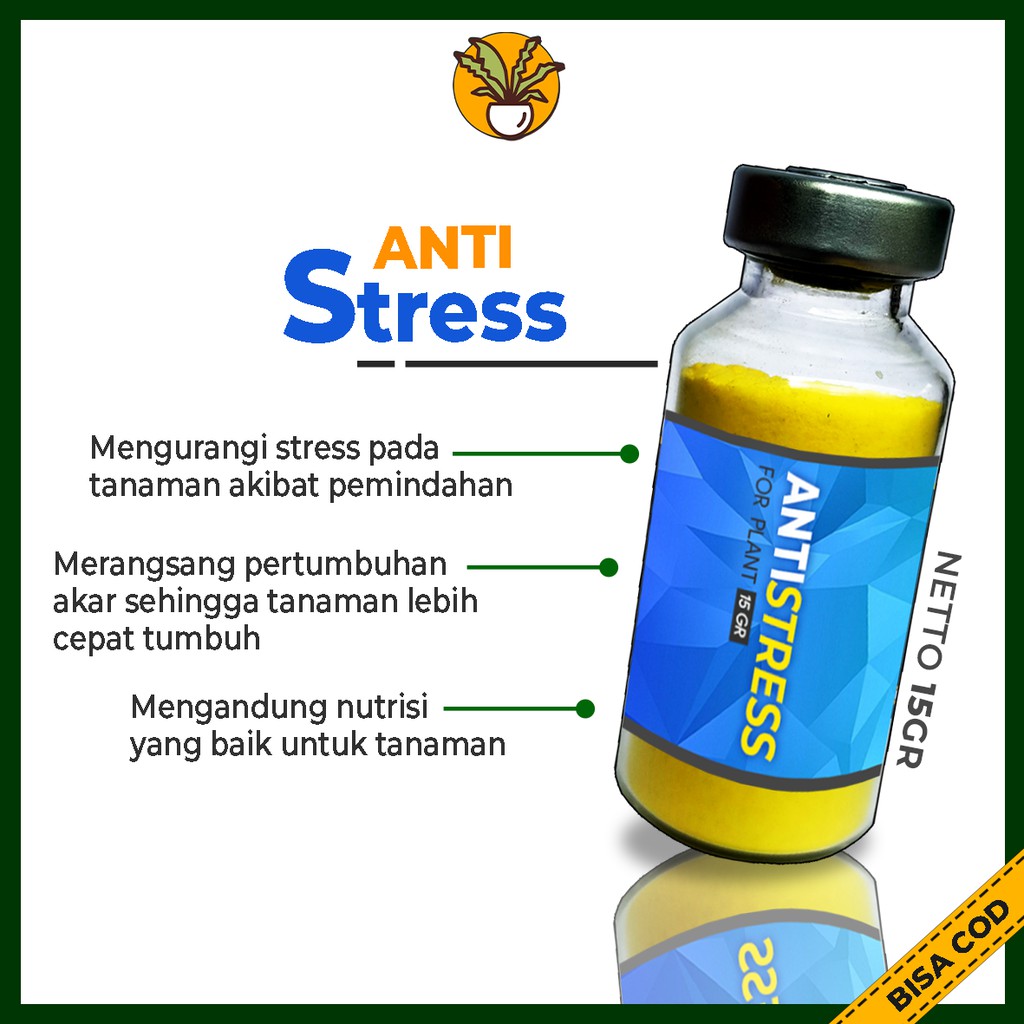 Vitamin B1 untuk Tanaman Obat Anti Stress Tanaman Hias Aglonema Monstera Variegata Caladium