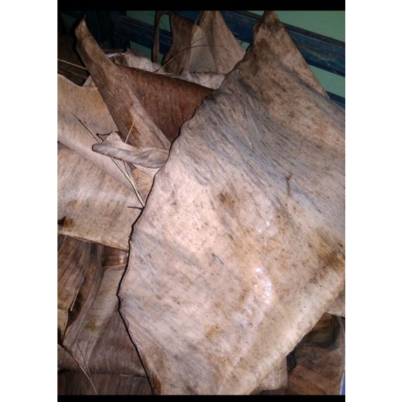 daun pisang kering //klaras pisang// pakan jangkrik //daun pisang