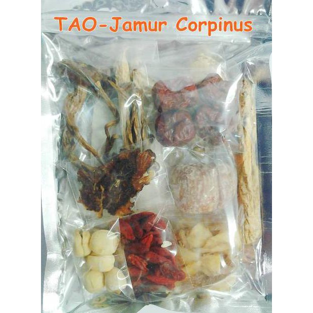 

TERMURAH Tim Ayam Obat Jamur Corpinus Kode 712