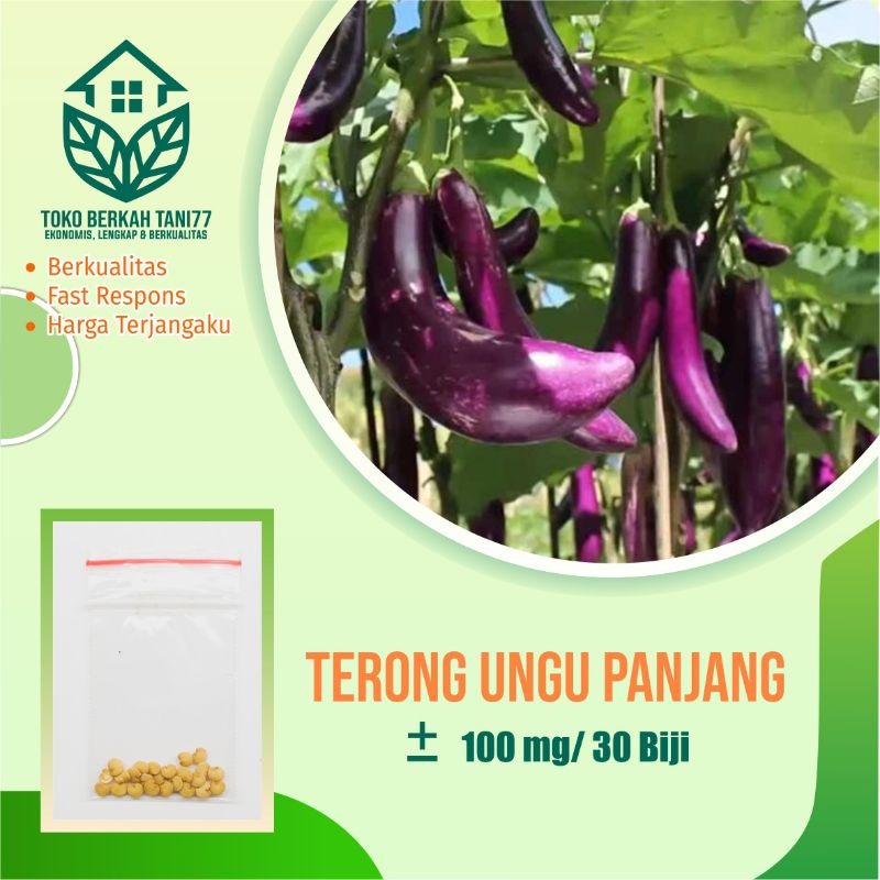 BENIH SAYURAN UNGGUL TERLENGKAP TERJANGKAU BIBIT KUBIS TOMAT SAWI TERONG CABE BUNCIS BAYAM KANGKUNG-Terong ungu panjang