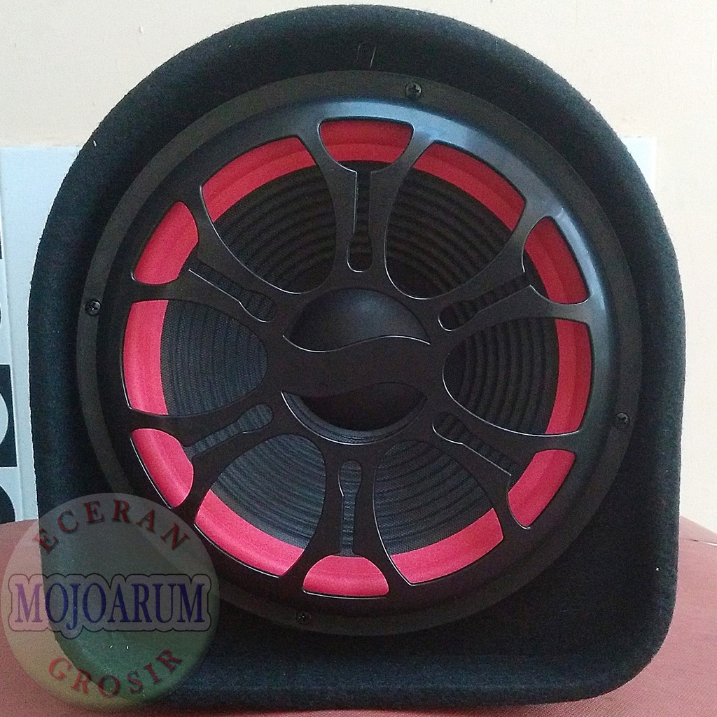 speaker advance 10 inch