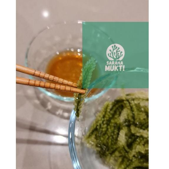 

M-EOW〕 {㊚〕 Anggur laut/ Green Caviar/ Latoh/ Lawi lawi/ Sea Grapes (Caulerpa Sp.)