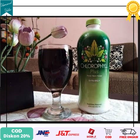 

❤COD❤ Joint Formula Noni Plus - Obat Alami Osteoporosis