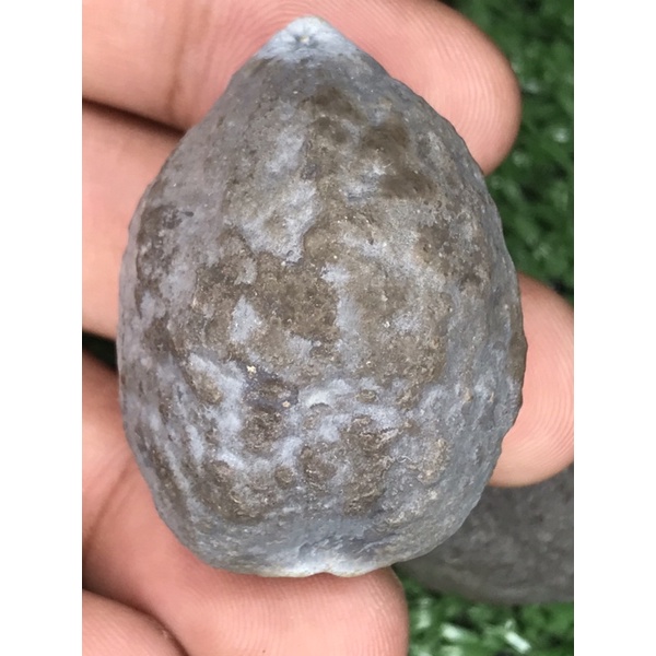 Muncang adu jayanti apotek ori juaran NMAX Bandung