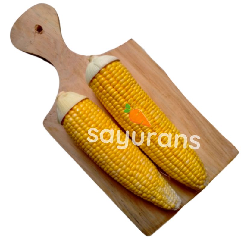 

SAYURANS Jagung Manis Isi 2