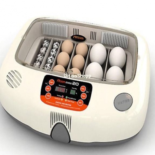 

Rcom 20 Universal Tray Divider (Penyekat Untuk Berbagai Ukuran Telor) 097