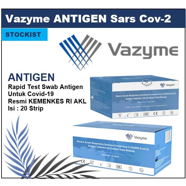 Vazyme ANTIGEN Rapid Test