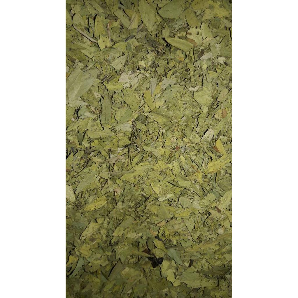 

Spesial - Teh Daun Jati Cina Asli 1 Kg.