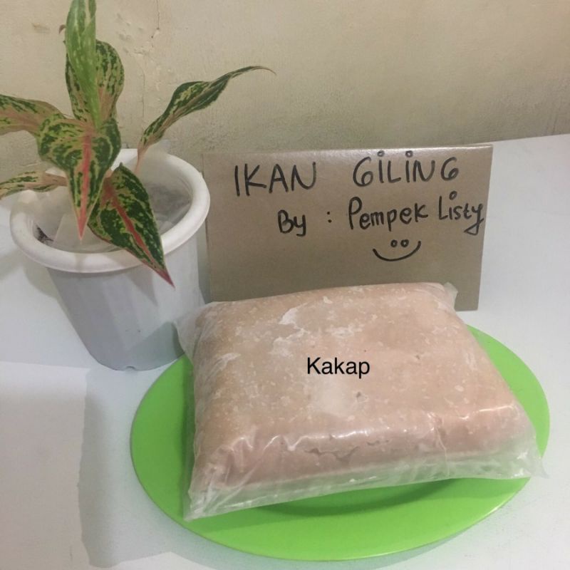 

IKAN KAKAP GILING (1Kg)