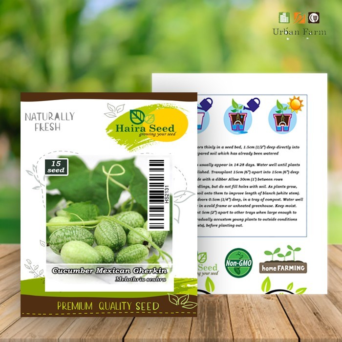 Bibit-Biji Cucamelon Mexican Gherkin (Haira Seed)