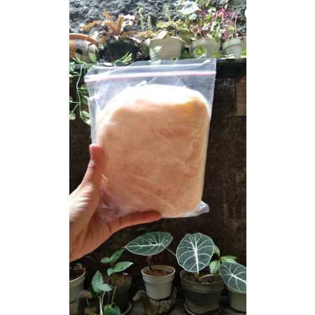 

Canai Frozen original