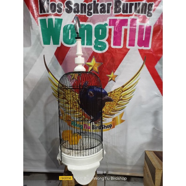 Sangkar Besi Helopet