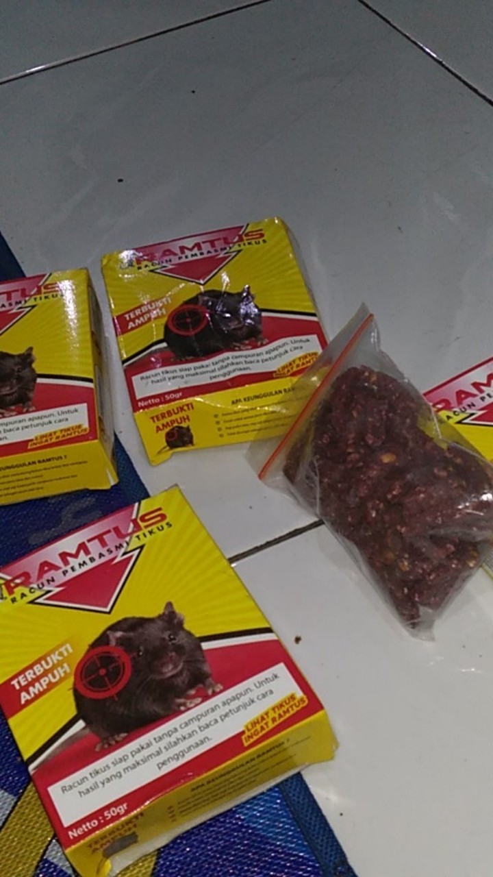 Ramtus Racun Tikus Ampuh Mati Kering Tidak Bau Pembasmi Curut Wirog Mencit Dirumah Di Mobil 5 Pack