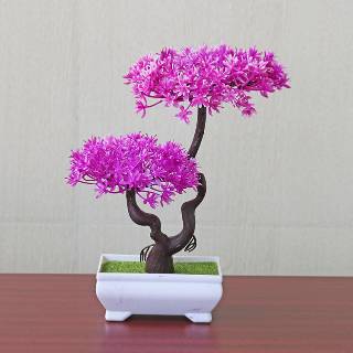 Pohon Bonsai Tanaman Bunga  Cabang Dua 12PCS 1KG Bonsai 