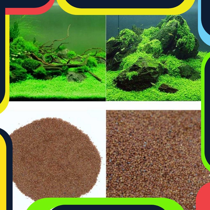 Bayar Ditempat Bibit Rumput Air Dekorasi Aquarium Landscape Ornament - H0027