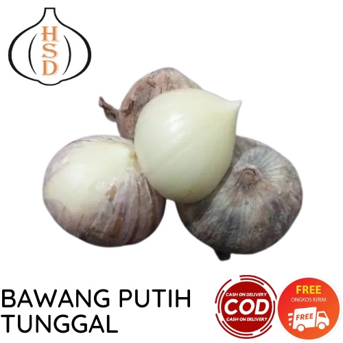 Bawang Putih Tunggal Lanang Jamin Bagus dan Fresh