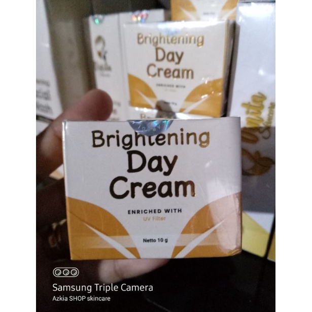 DAY CREAM PREMIUM DINITA SKINCARE
