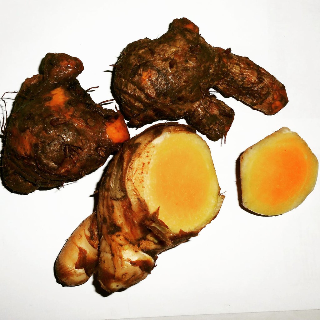 

TEMULAWAK SEGAR 1KG