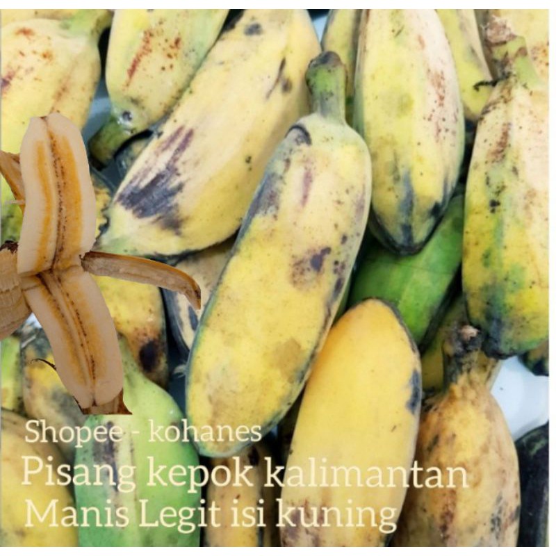 Jual Pisang Kepok Kalimantan Fresh Manis Isi Kuning 1kg 10 12 Buah Shopee Indonesia 