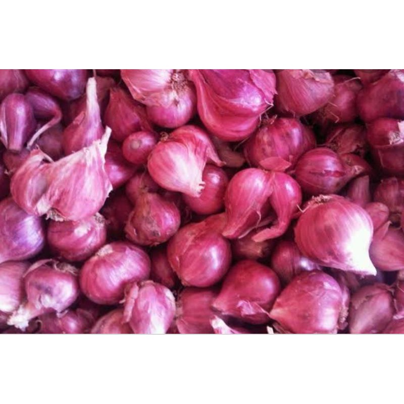 

Bawang Merah 1/4kg - 1kg