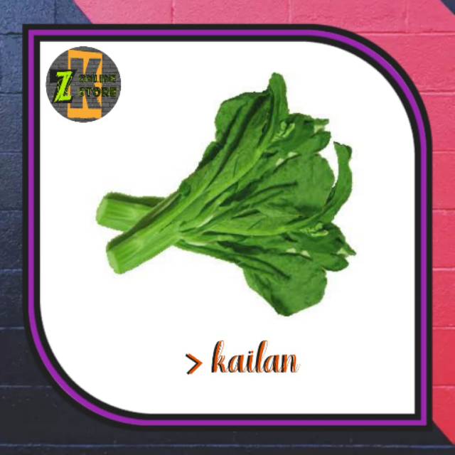 

Kailan 1 ikat (±100gr)